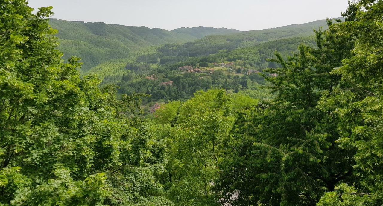 Il Canto Del Fuoco Caiano Dış mekan fotoğraf